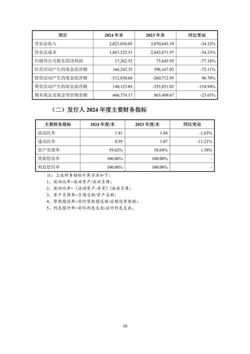 中國寶安集團(tuán)股份有限公司，中國寶安年報
